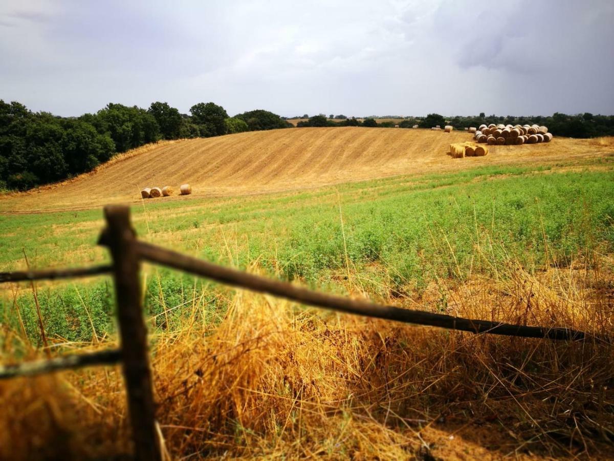 Alojamento de Turismo Rural Ars Naturae *